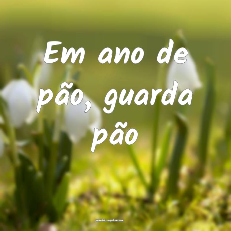 Em ano de pão, guarda pão ...
