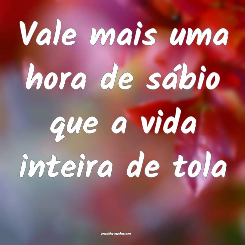 Vale mais uma hora de sábio que a vida inteira de ...