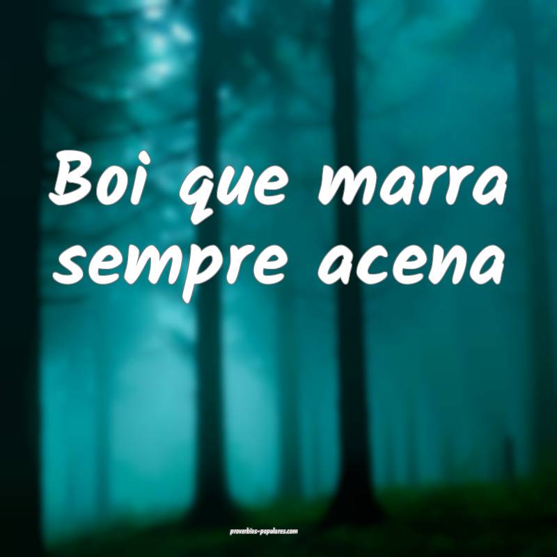 Boi que marra sempre acena ...