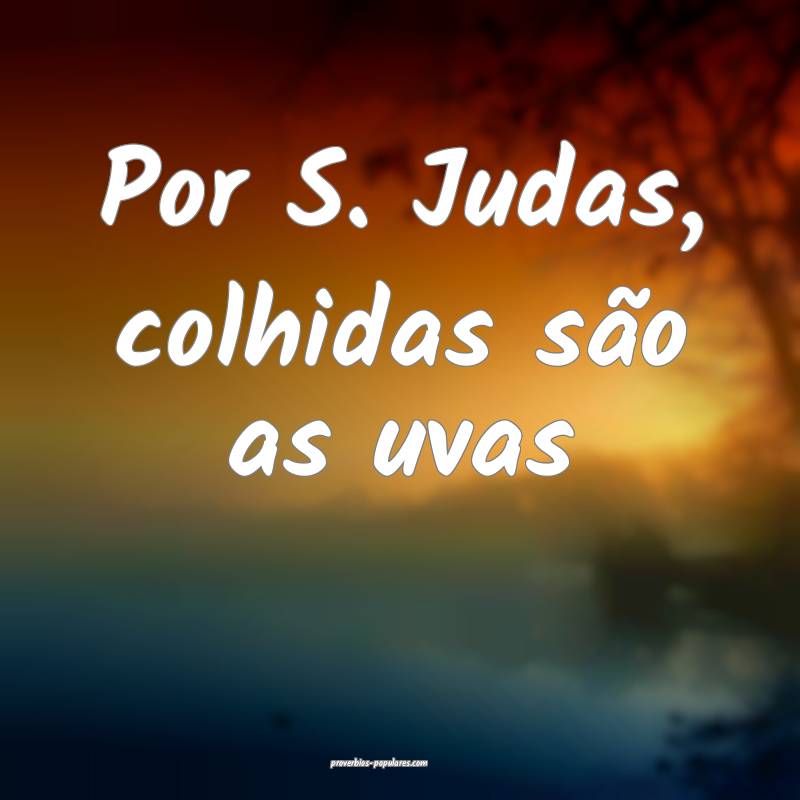 Por S. Judas, colhidas são as uvas ...