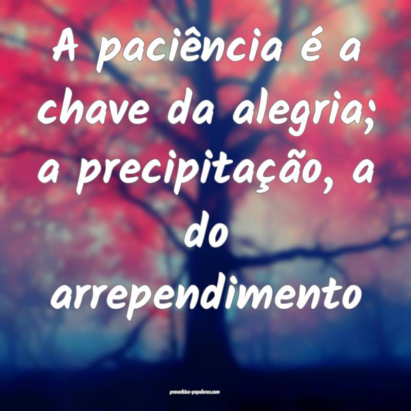 A paciência é a chave da alegria; a precipitação, a do arrependime...