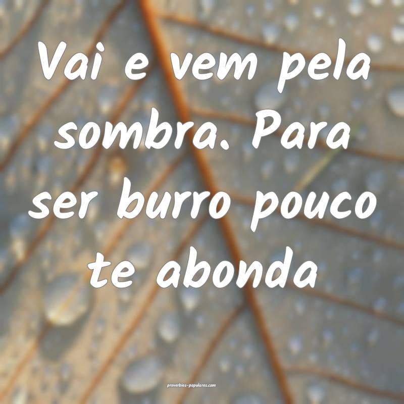 Vai e vem pela sombra. Para ser burro pouco te abonda...
