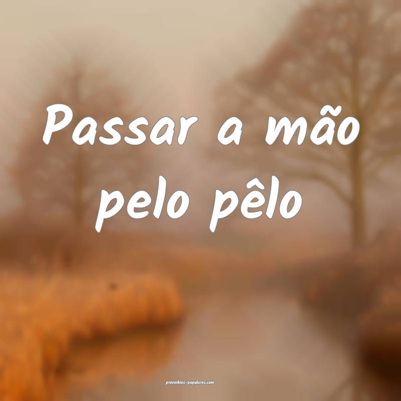 Passar a mão pelo pêlo ...