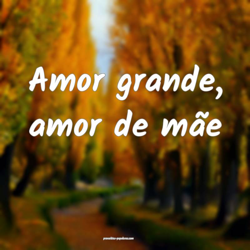 Amor grande, amor de mãe...