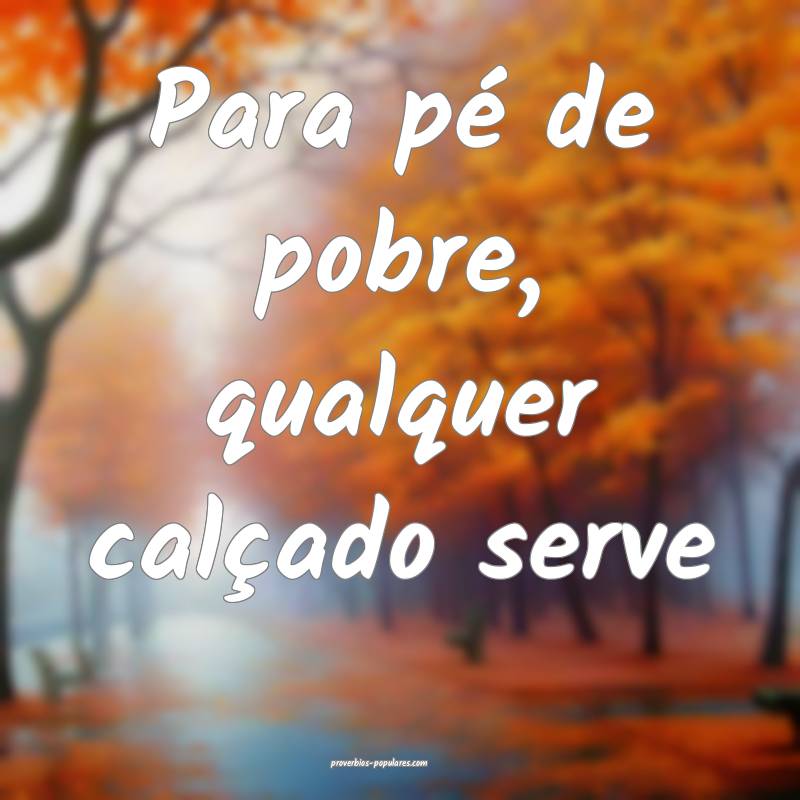 Para pé de pobre, qualquer calçado serve...