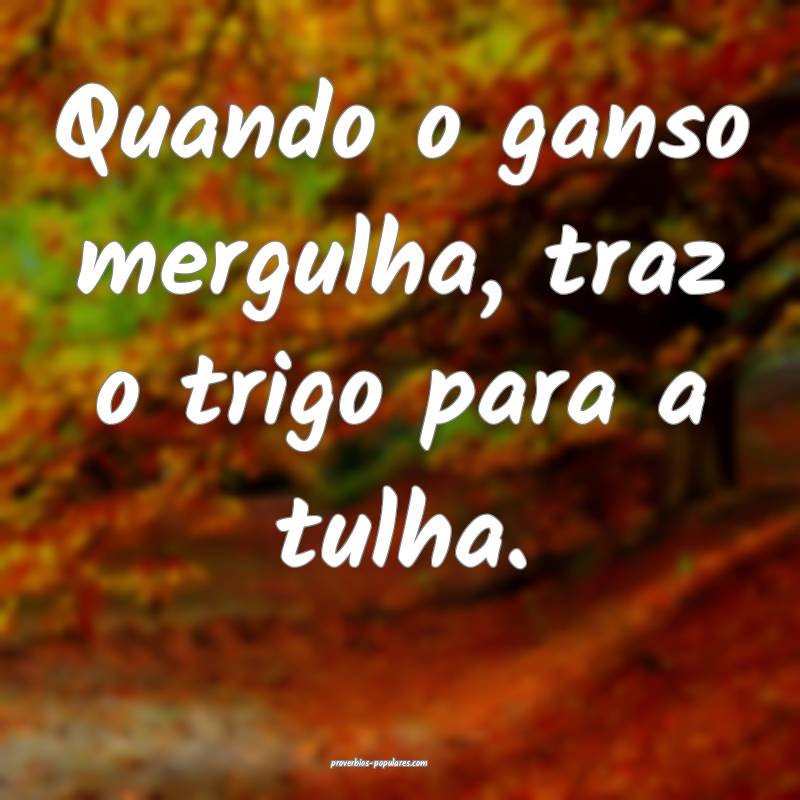 Quando o ganso mergulha, traz o trigo para a tulha.
...