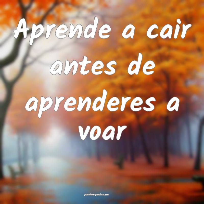 Aprende a cair antes de aprenderes a voar...