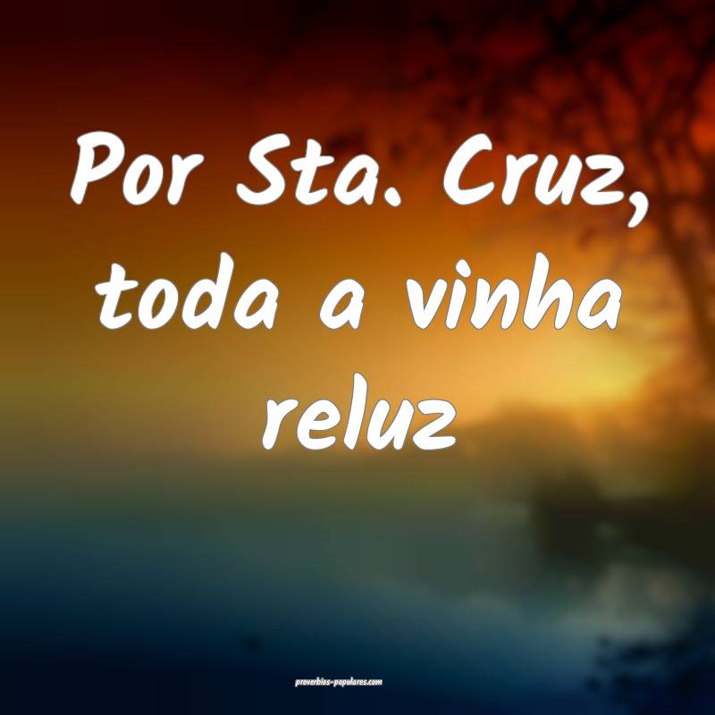 Por Sta. Cruz, toda a vinha reluz ...