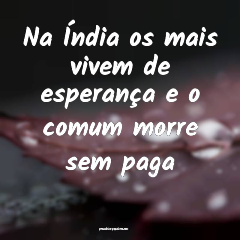 Na Índia os mais vivem de esperança e o comum morre sem paga...