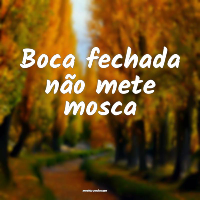 Boca fechada não mete mosca...