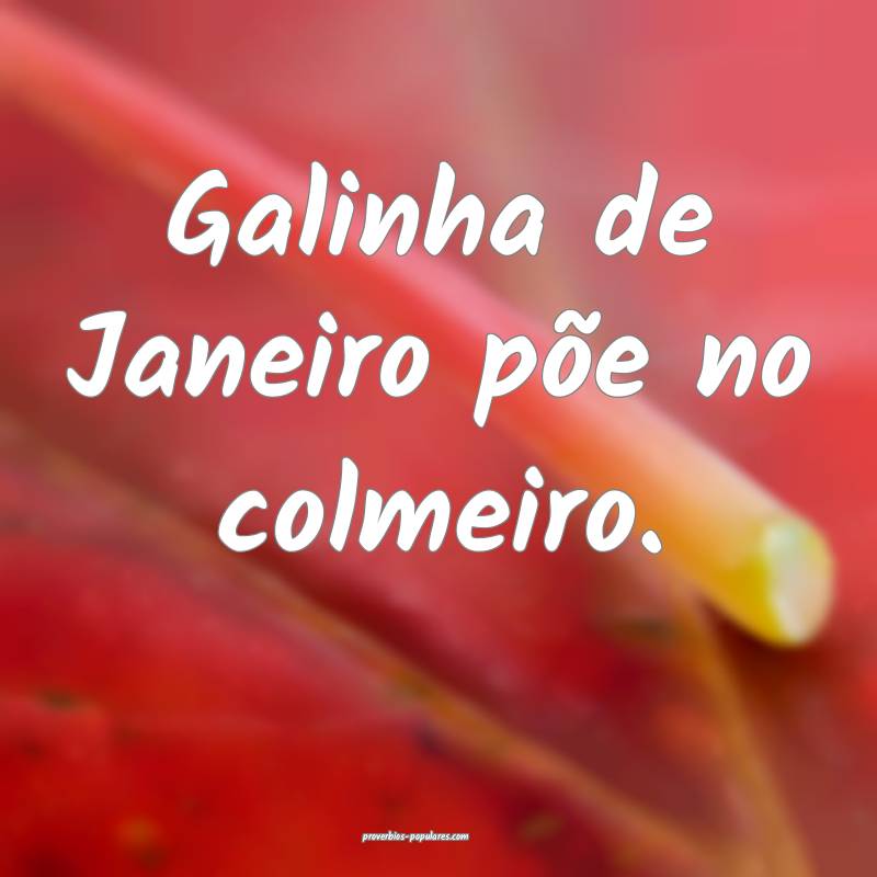 Galinha de Janeiro põe no colmeiro. ...
