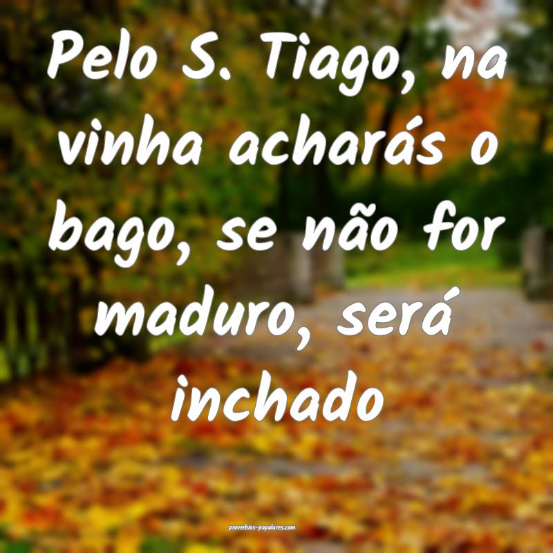 Pelo S. Tiago, na vinha acharás o bago, se não for maduro, será inc...
