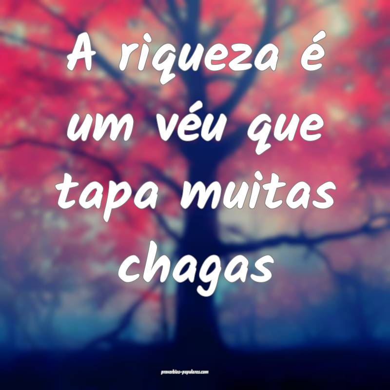 A riqueza é um véu que tapa muitas chagas...