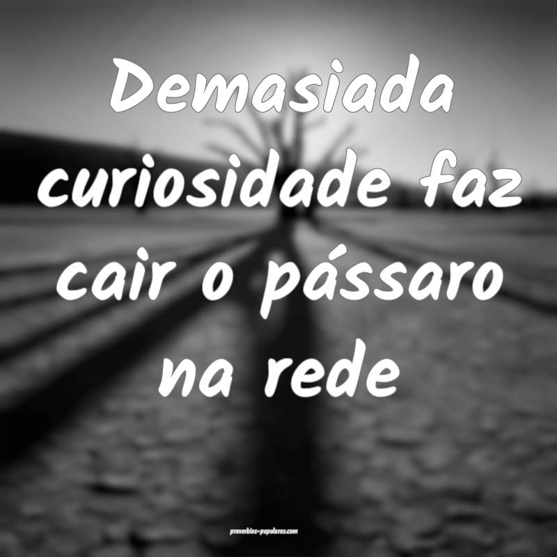 Demasiada curiosidade faz cair o pássaro na rede...