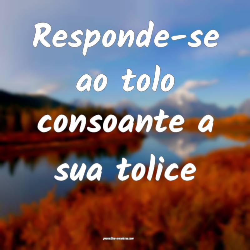 Responde-se ao tolo consoante a sua tolice ...
