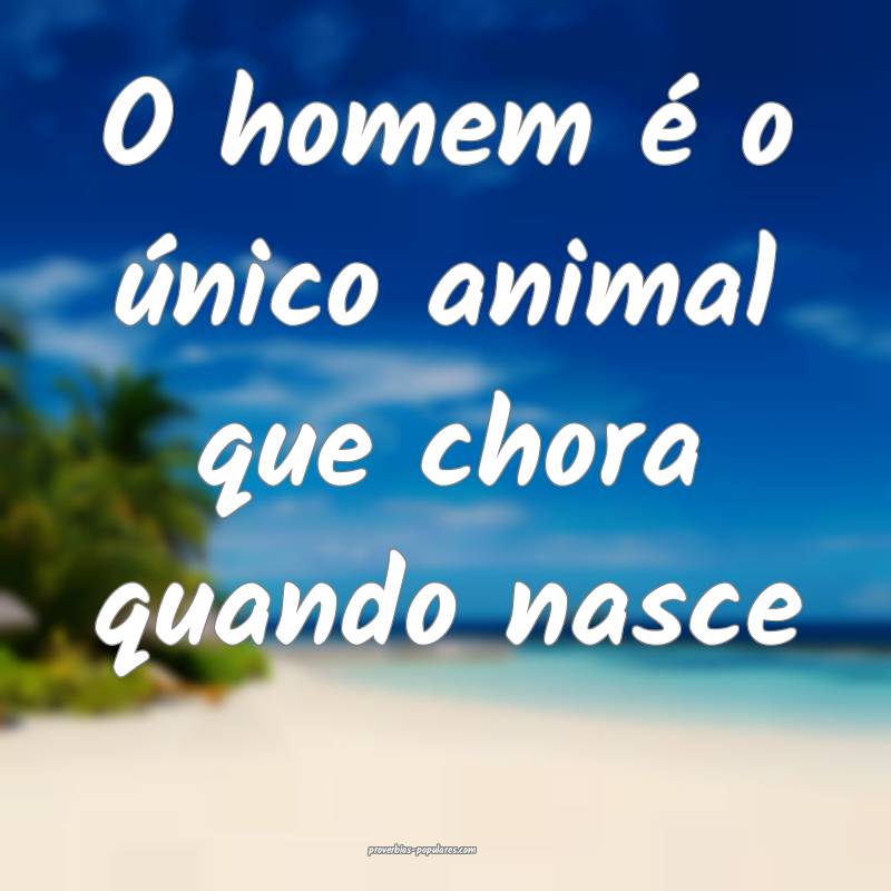 O homem é o único animal que chora quando nasce...