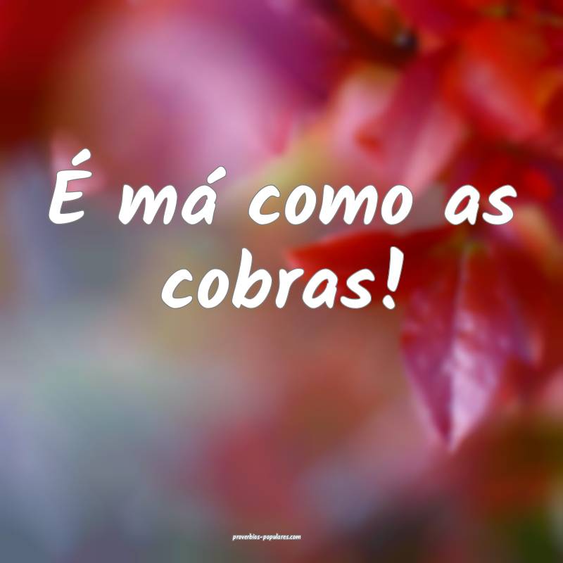 É má como as cobras!...