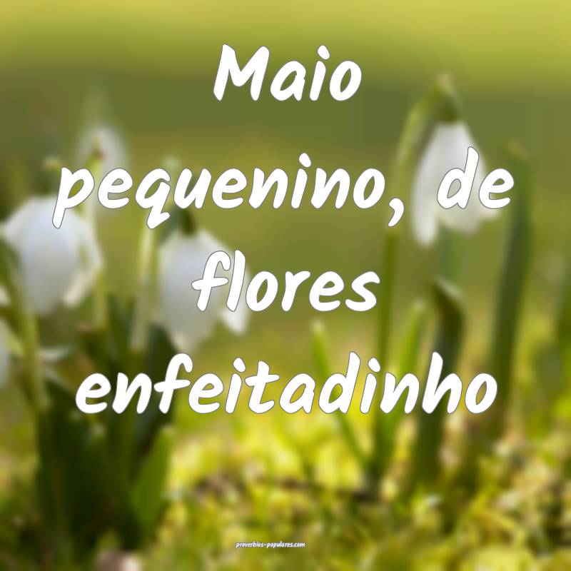 Maio pequenino, de flores enfeitadinho ...