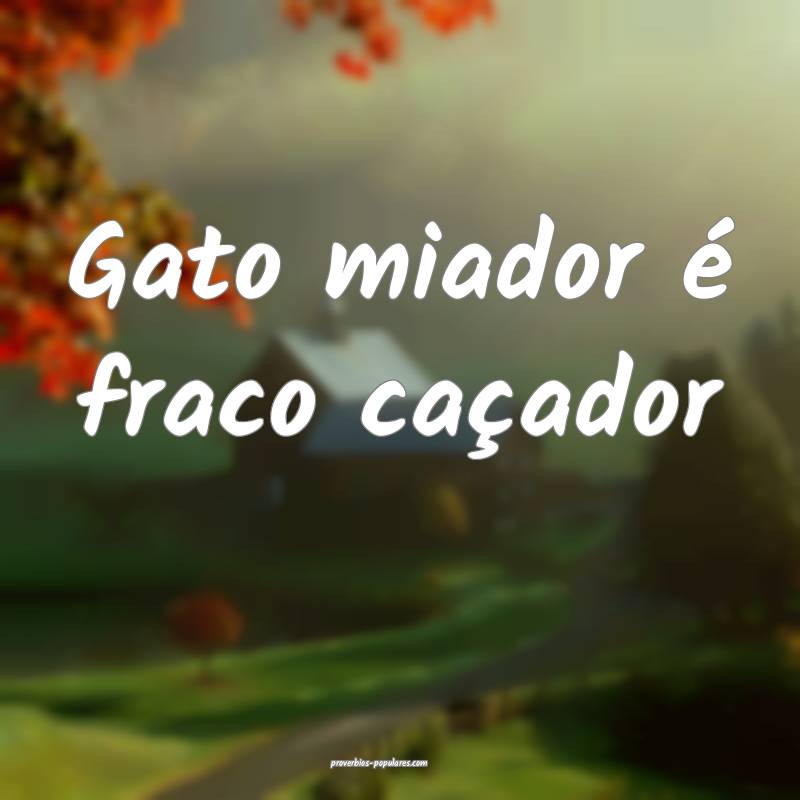 Gato miador é fraco caçador...