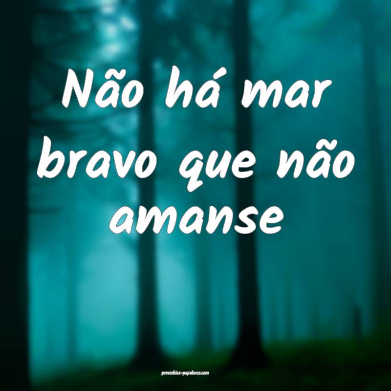 Não há mar bravo que não amanse ...