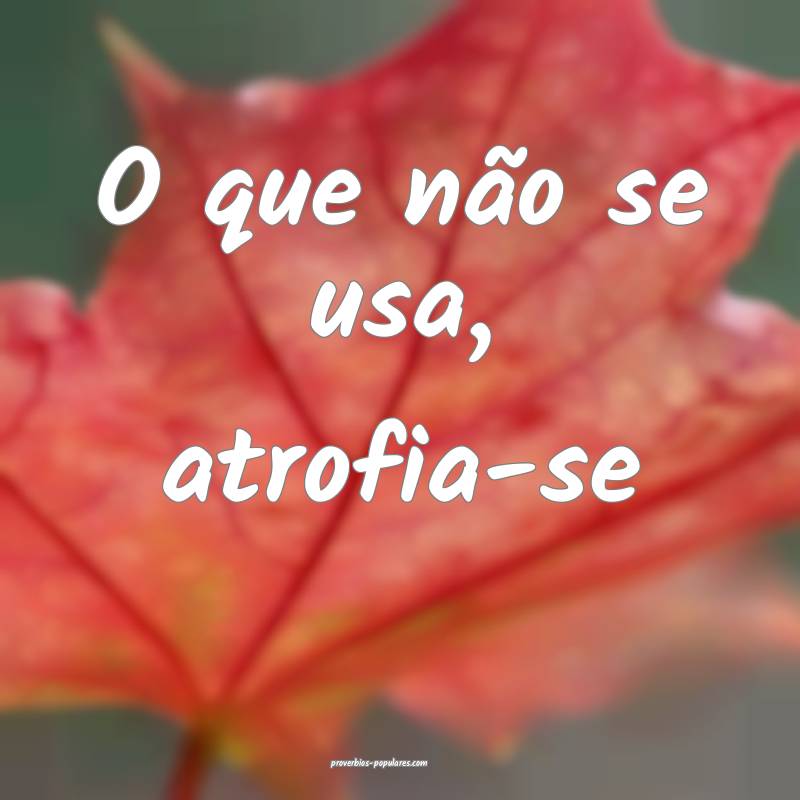 O que não se usa, atrofia-se ...