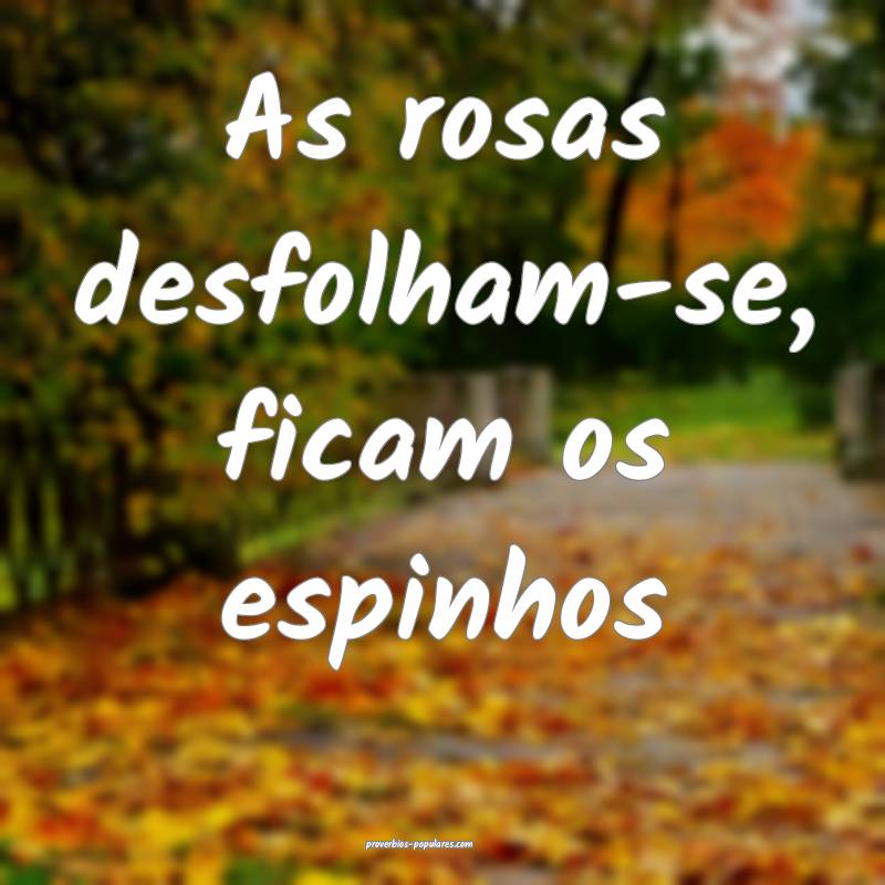 As rosas desfolham-se, ficam os espinhos...