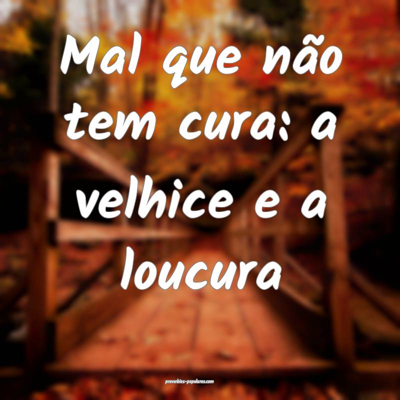 Mal que não tem cura: a velhice e a loucura...