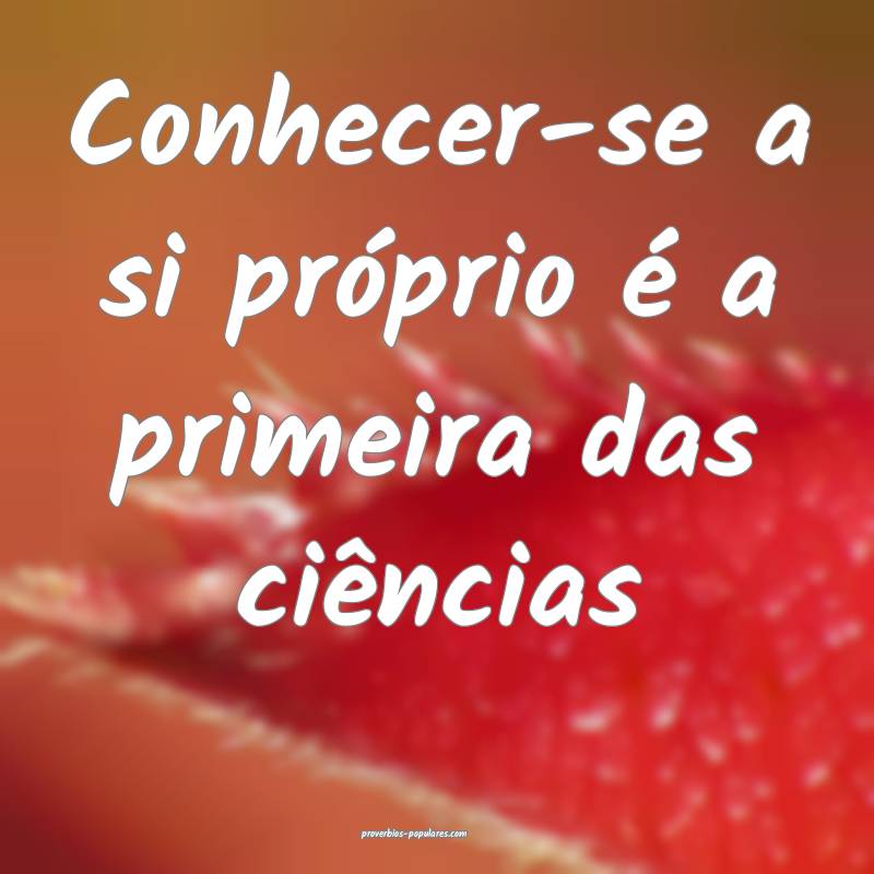 Conhecer-se a si próprio é a primeira das ciências...