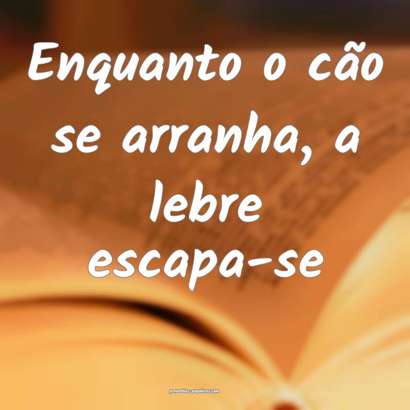 Enquanto o cão se arranha, a lebre escapa-se ...