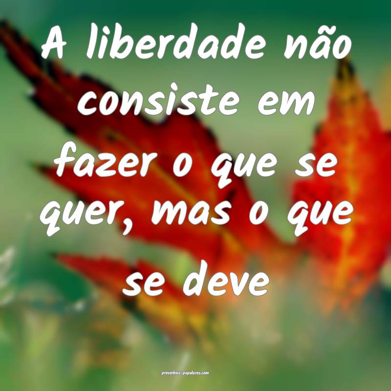 A liberdade não consiste em fazer o que se quer, mas o que se deve...