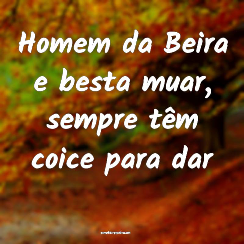 Homem da Beira e besta muar, sempre têm coice para dar...