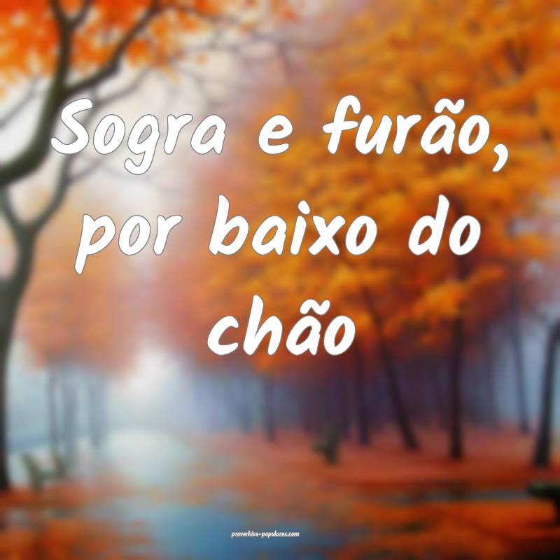 Sogra e furão, por baixo do chão...