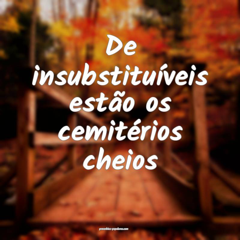 De insubstituíveis estão os cemitérios cheios ...