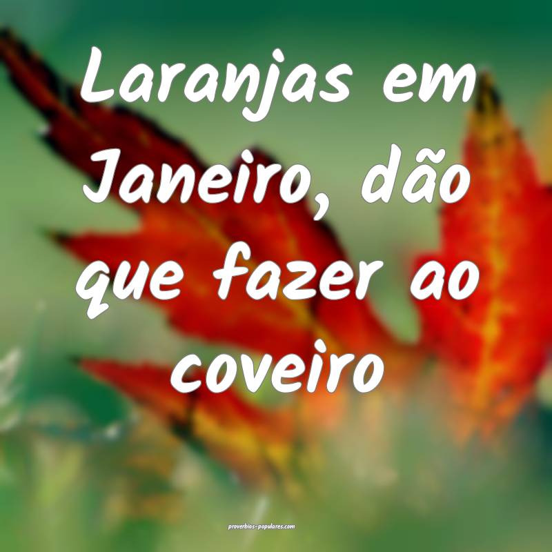 Laranjas em Janeiro, dão que fazer ao coveiro...