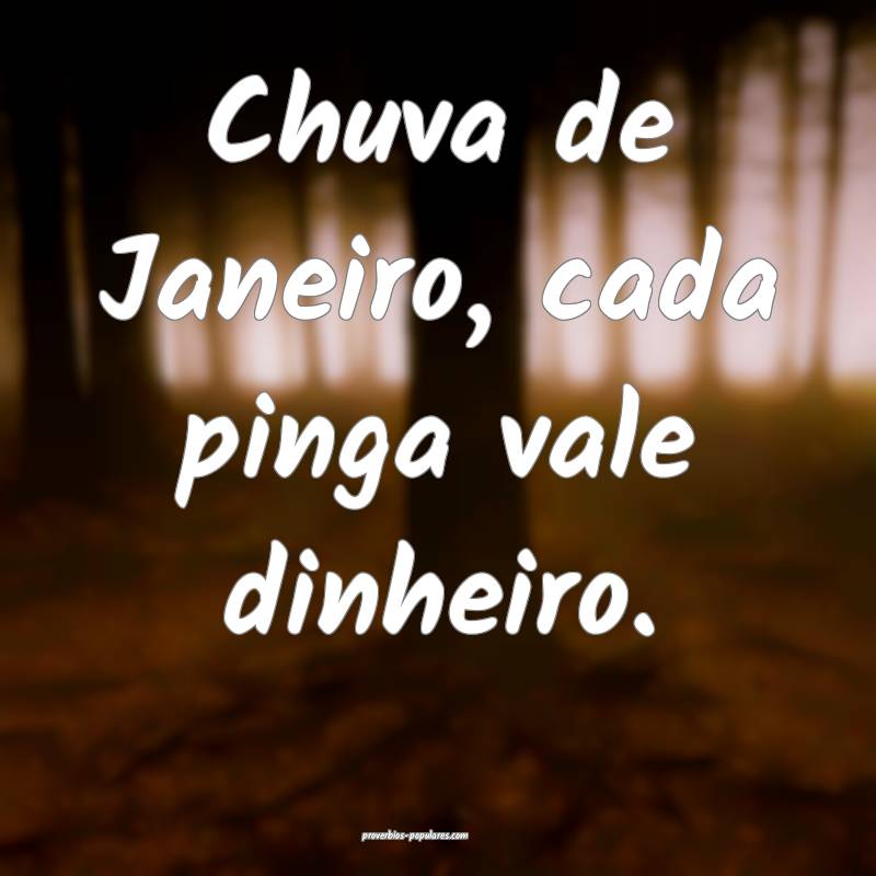 Chuva de Janeiro, cada pinga vale dinheiro....
