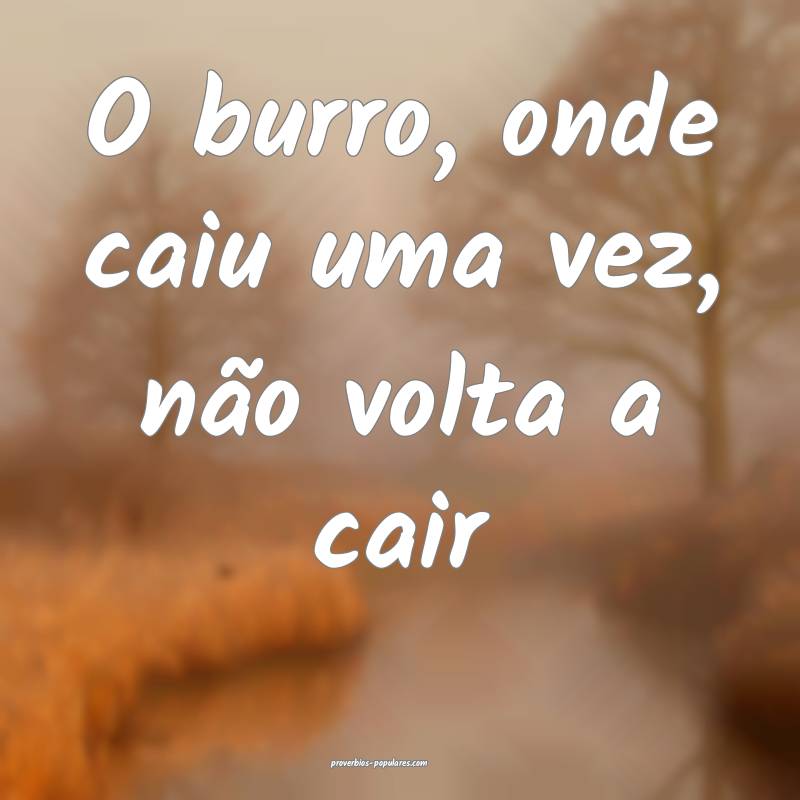 O burro, onde caiu uma vez, não volta a cair...