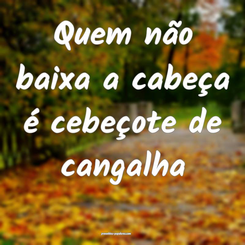 Quem não baixa a cabeça é cebeçote de cangalha ...