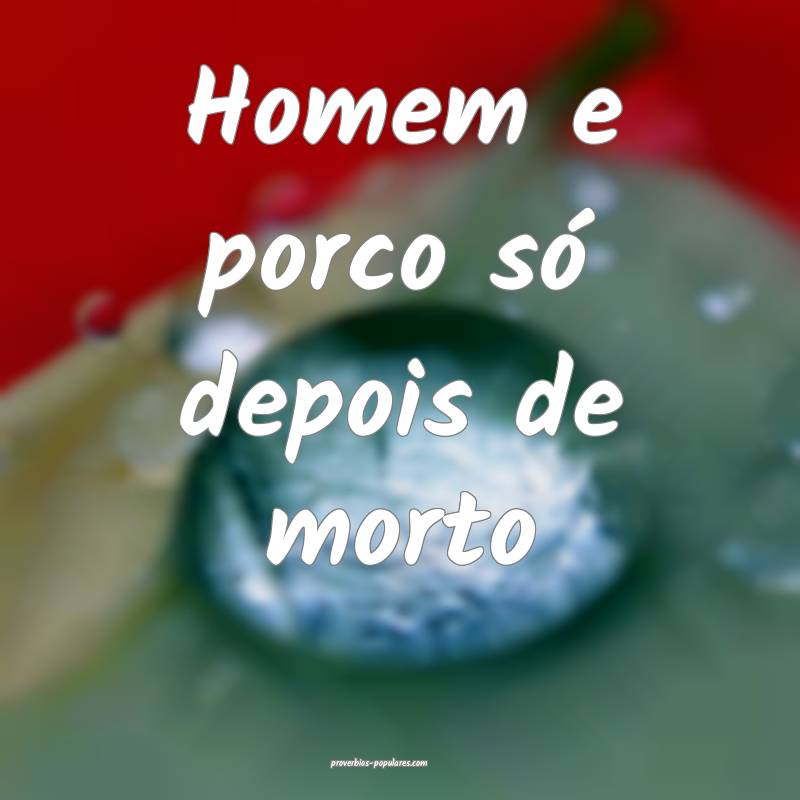 Homem e porco só depois de morto...