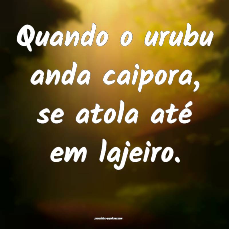 Quando o urubu anda caipora, se atola até em lajeiro.
...