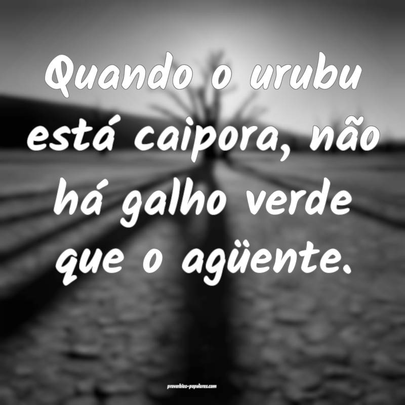 Quando o urubu está caipora, não há galho verde que o agüente.
...