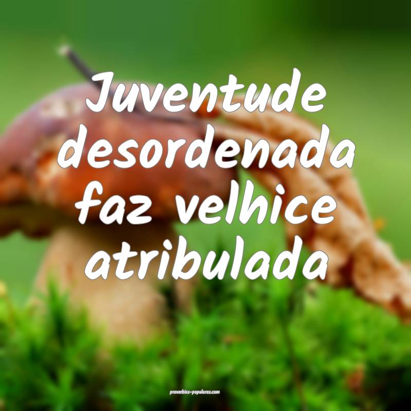 Juventude desordenada faz velhice atribulada...