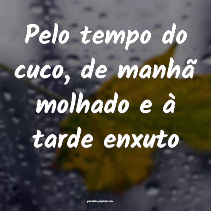 Pelo tempo do cuco, de manhã molhado e à tarde enxuto...