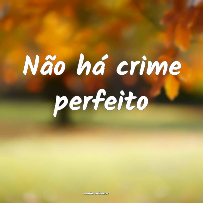 Não há crime perfeito...