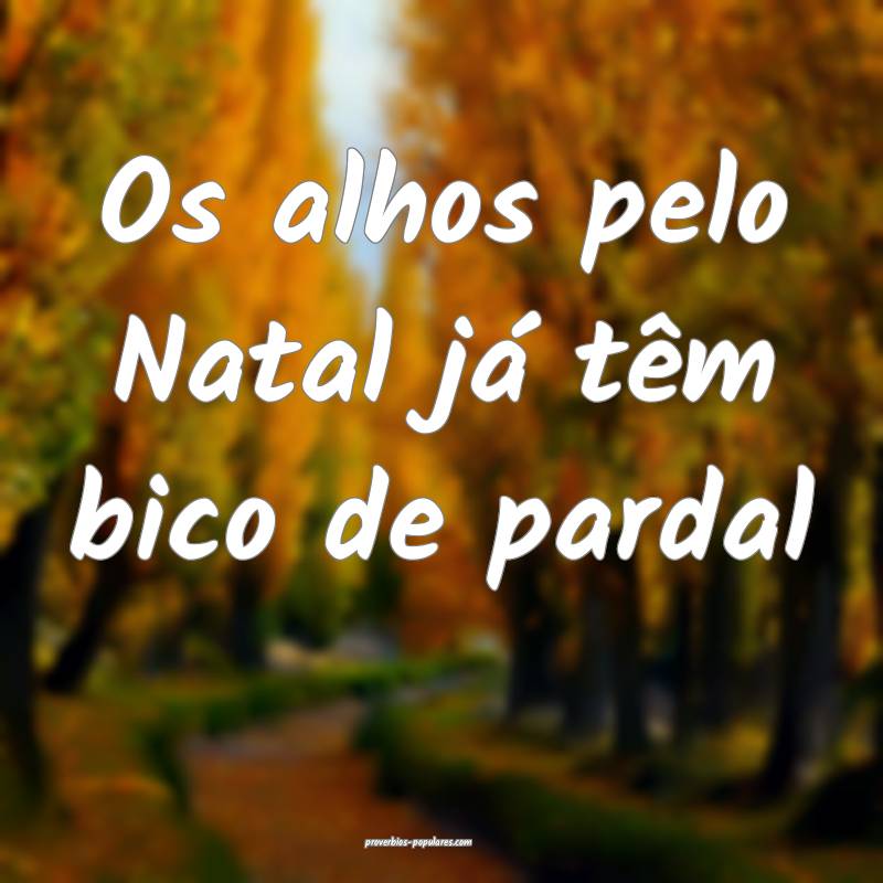 Os alhos pelo Natal já têm bico de pardal...