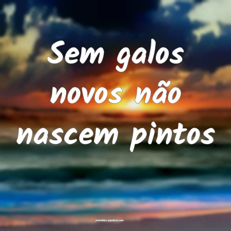 Sem galos novos não nascem pintos...