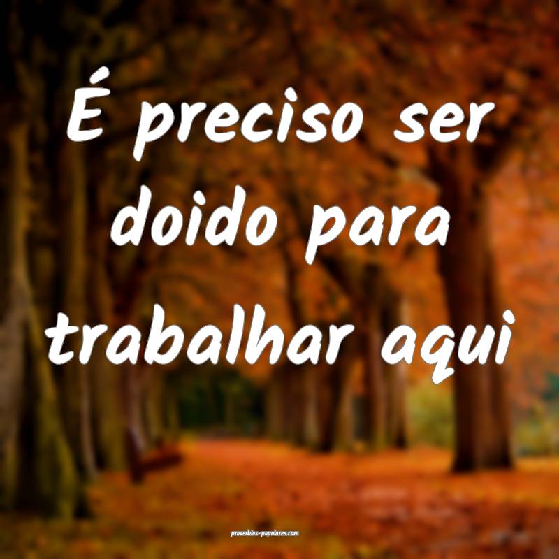 É preciso ser doido para trabalhar aqui ...