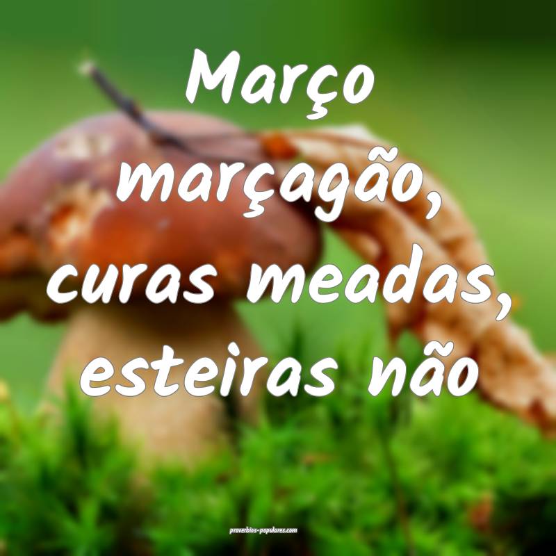Março marçagão, curas meadas, esteiras não...