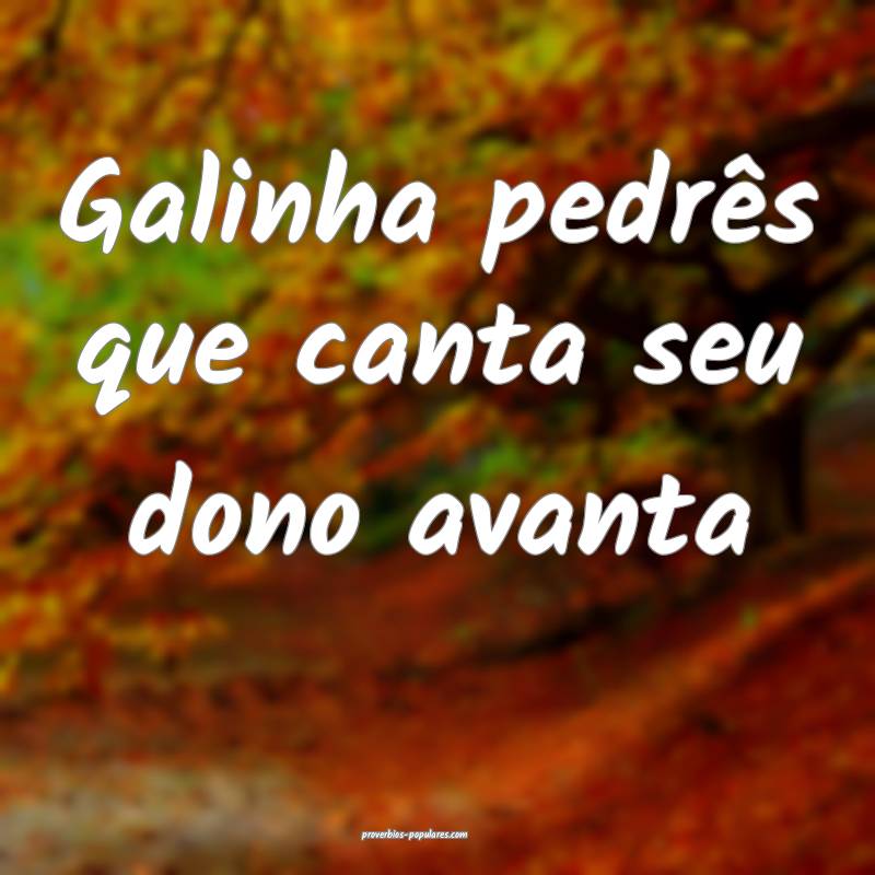 Galinha pedrês que canta seu dono avanta...