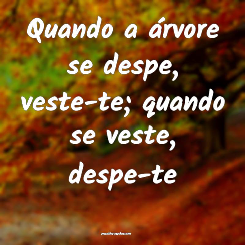 Quando a árvore se despe, veste-te; quando se veste, despe-te...