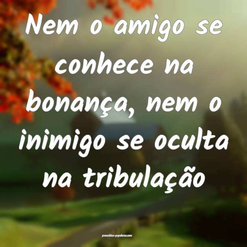 Nem o amigo se conhece na bonança, nem o inimigo se oculta na tribula...